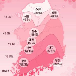 전국 벚꽃 유명 장소 (2017. 3. 20)
