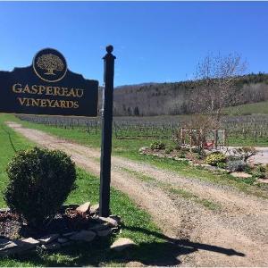 노바스코샤 아나폴리스 벨리 와인 농장 (Annapolis Valley Wine Tour)