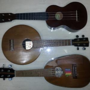 우쿨렐레(ukulele)의 만남
