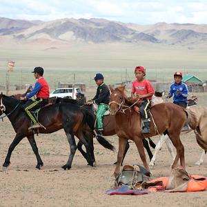 12일간의 몽골여행... 평생 보고도 남을 가축을 보았다