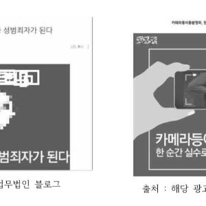 성범죄 피해자 두 번 울리는 변호사 광고 - 진선미 국회의원