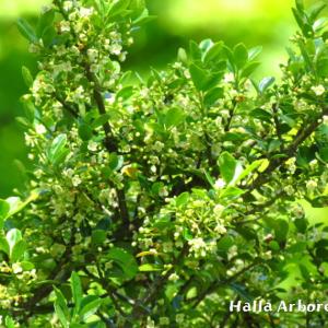 [정례] (10월 27일 00시부터 보도 가능) 제주포럼, 싱가포르서 첫 해외지역포럼 개최