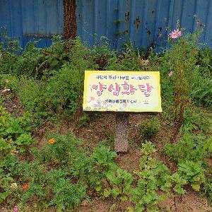 나주 성북동, 불법 쓰레기 투기 지역‘양심화단’으로 변신