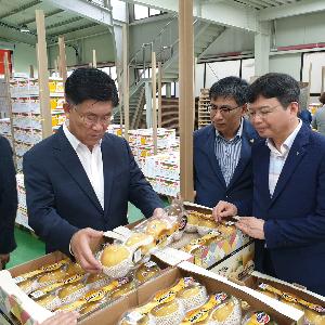 대한민국 명품 ‘나주 배’ 올해 첫 수출 길