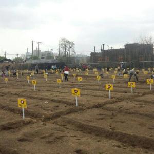 진주시, 시민텃밭 신청 접수