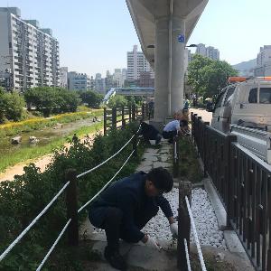 호원2동 도시미관 개선활동 추진