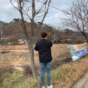 홍성군, 가로수 및 공원 내 불법광고물 철거