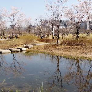 서울 식물원 산책(마곡나루역~한강)