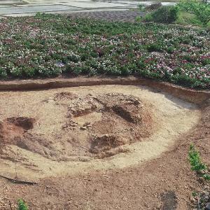 경북 의성 대리리에서 삼국시대 의성지역 고유 무덤양식 고분 발견
