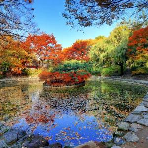 ‘가을 단풍’ 절정으로 가는 궁궐과 조선왕릉