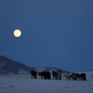 몽골 최고봉 타왕복드 포타닌 빙하 장관...탐험가 몽골서부 등 식물 및 민속 기록물 남겨