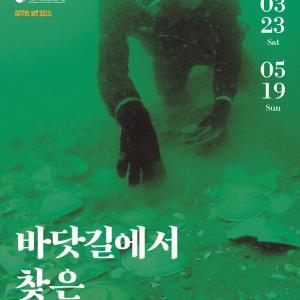 태안 바닷속 보물들의 첫 서울 나들이