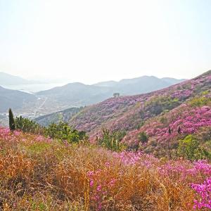 「여수 영취산 흥국사 일원」 명승 지정 예고