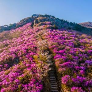 「여수 영취산 흥국사 일원」 명승 지정