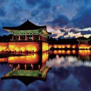 14면체 주사위(술자리 놀이 가구)