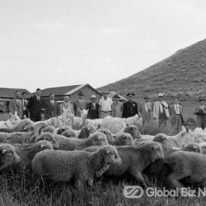 고향 플로리다 목장 경영하다 제주도 가축 키우려고 이 대통령에 목장 건설 제안, 국립제주목장 건립